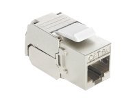 Delock Keystone Module Cat 6A RJ45 hun stik