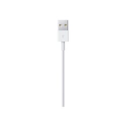 Apple Lightning USB Kabel 2m - bulk 8